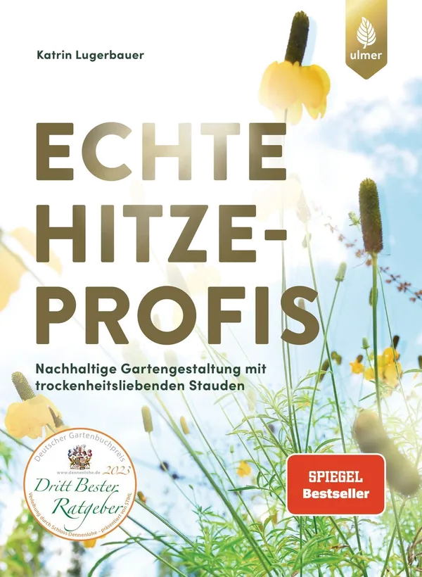 Cover von Echte Hitzeprofis