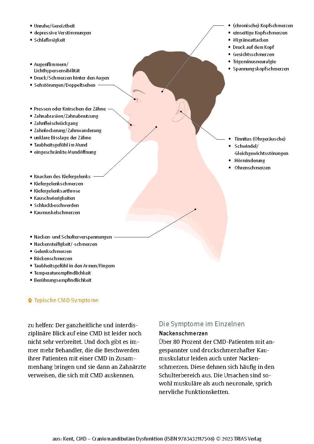Abbildung 13 von CMD - Craniomandibuläre Dysfunktion
