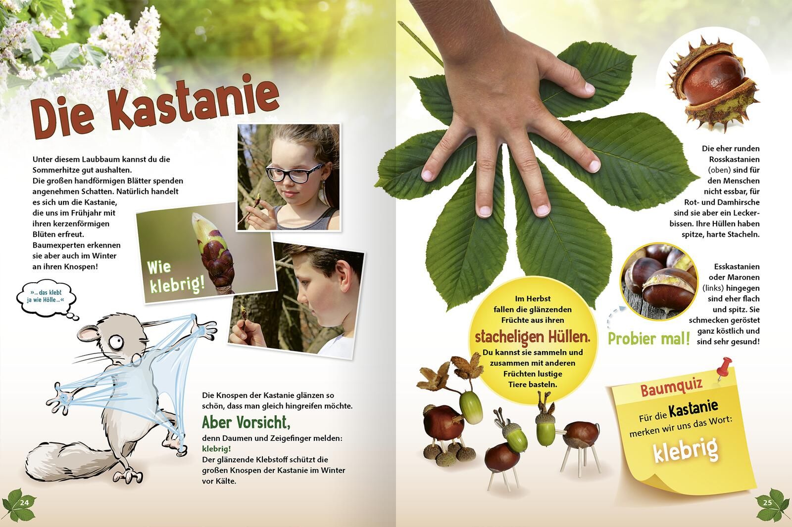 Gezeigt wird eine Innen- oder Zusatzansicht von „Jetzt verstehe ich die Bäume“. Die Seite behandelt das Thema „Die Kastanie“ mit bunten Illustrationen und fotografischen Eindrücken. Zu sehen sind Kinder, die Kastanien bewundern und erkunden. Die Farben si