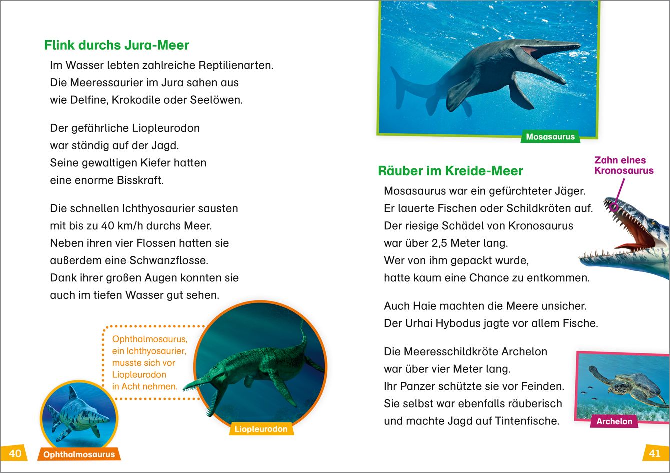 Abbildung 3 von WAS IST WAS Erstes Lesen Band 13. Dinosaurier