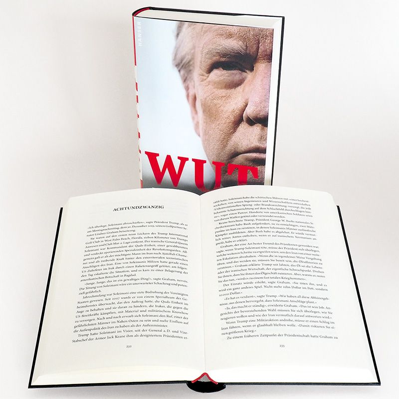 Abbildung 5 von Wut