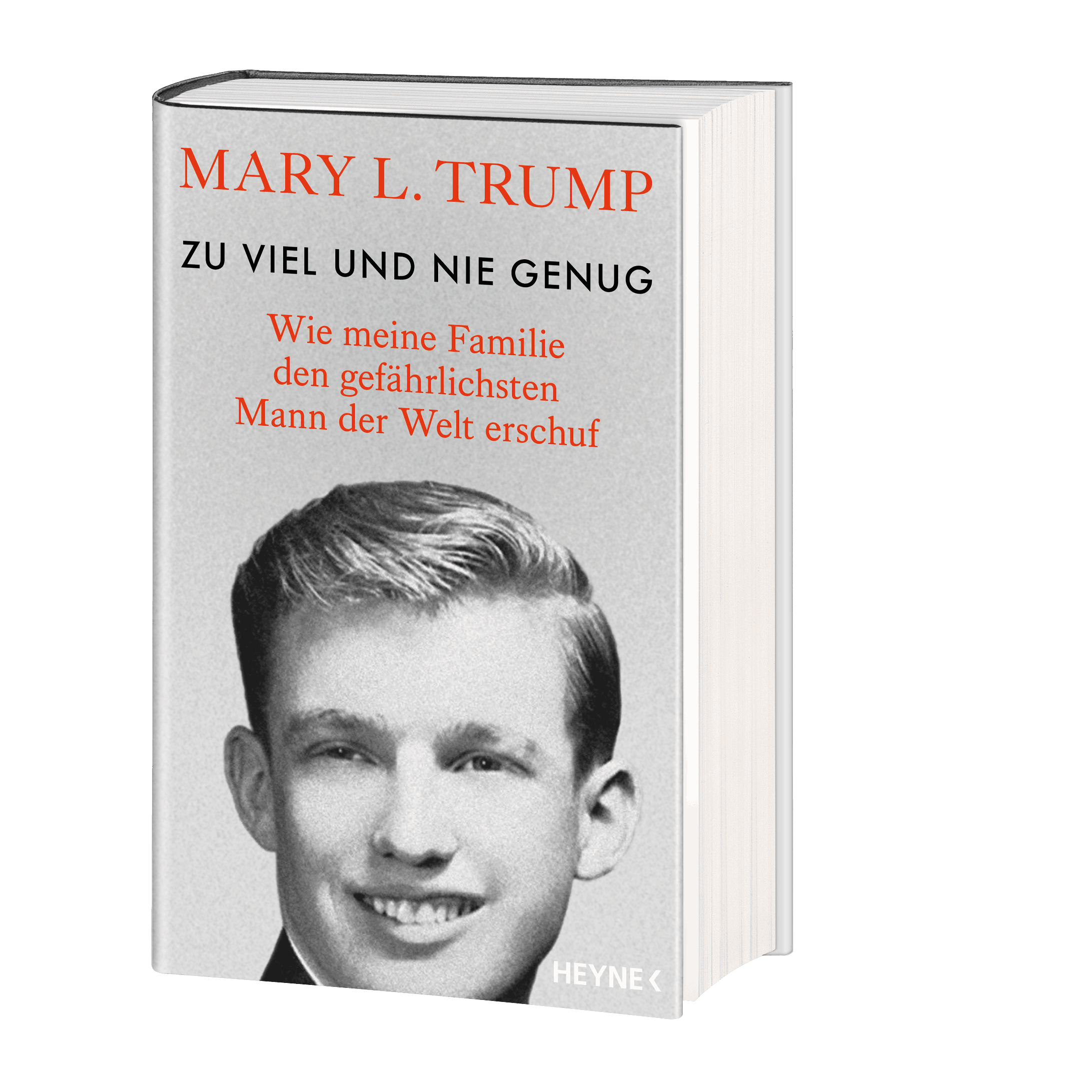 Abbildung 1 von Zu viel und nie genug