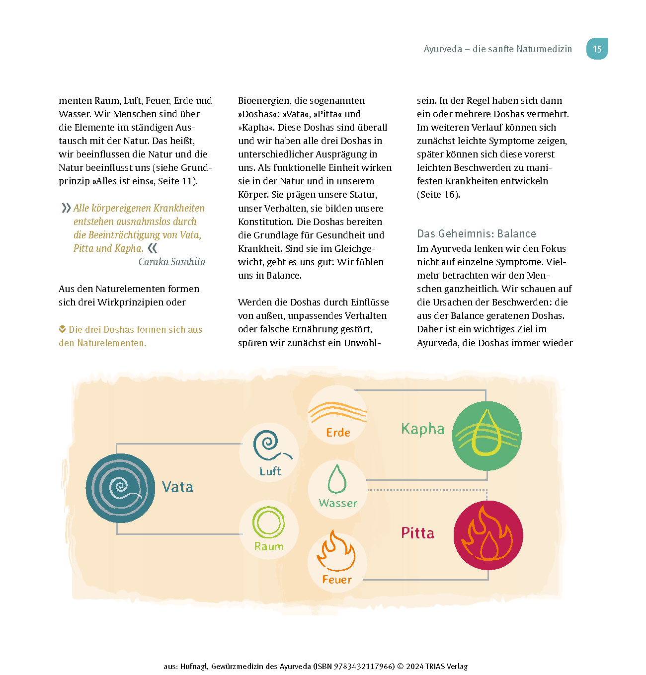Abbildung 10 von Gewürzmedizin des Ayurveda. Die Heilkraft der Gewürze nutzen