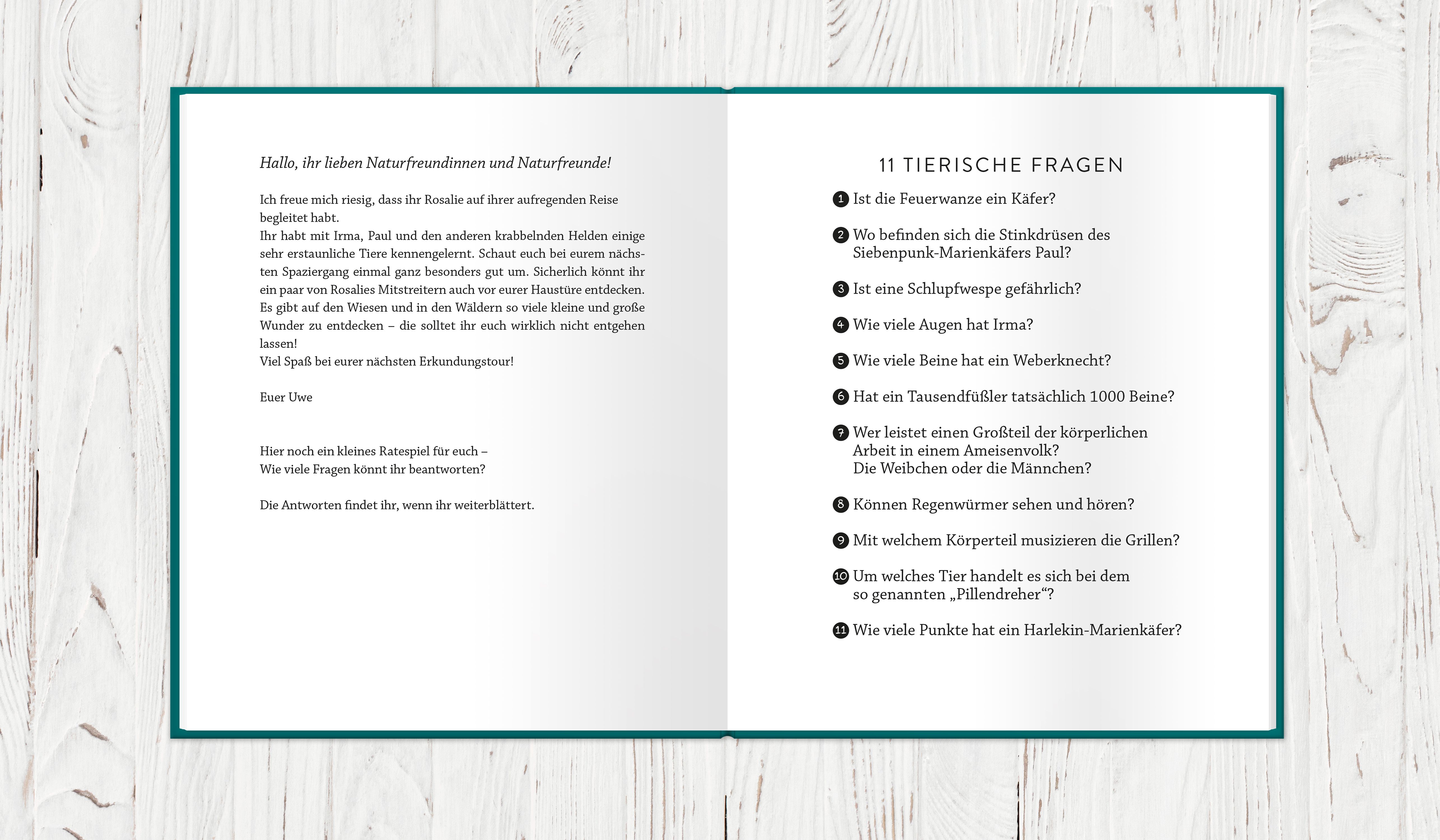 Abbildung 6 von Rosalie, die Feuerwanze