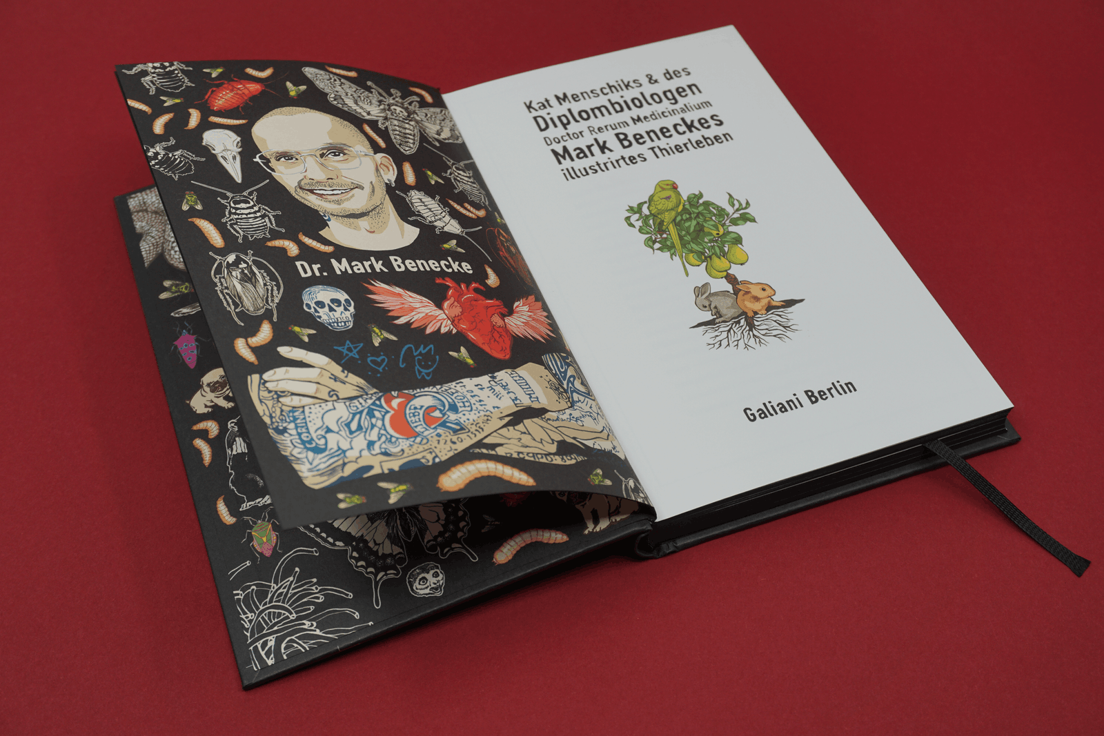 Abbildung 2 von Kat Menschiks und des Diplom-Biologen Doctor Rerum Medicinalium Mark Beneckes Illustrirtes Thierleben