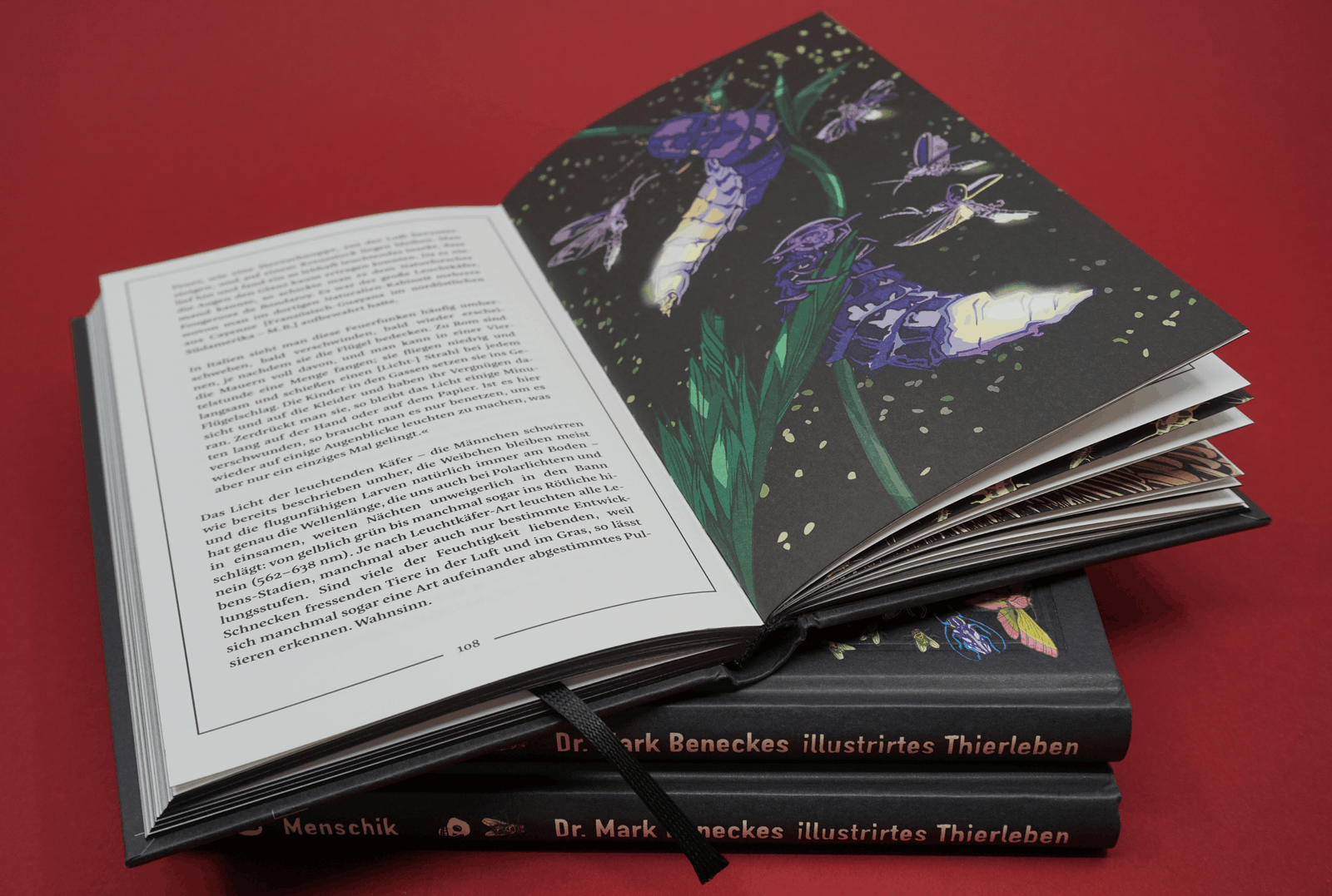 Abbildung 5 von Kat Menschiks und des Diplom-Biologen Doctor Rerum Medicinalium Mark Beneckes Illustrirtes Thierleben
