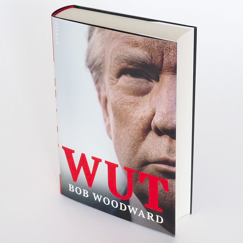 Abbildung 3 von Wut