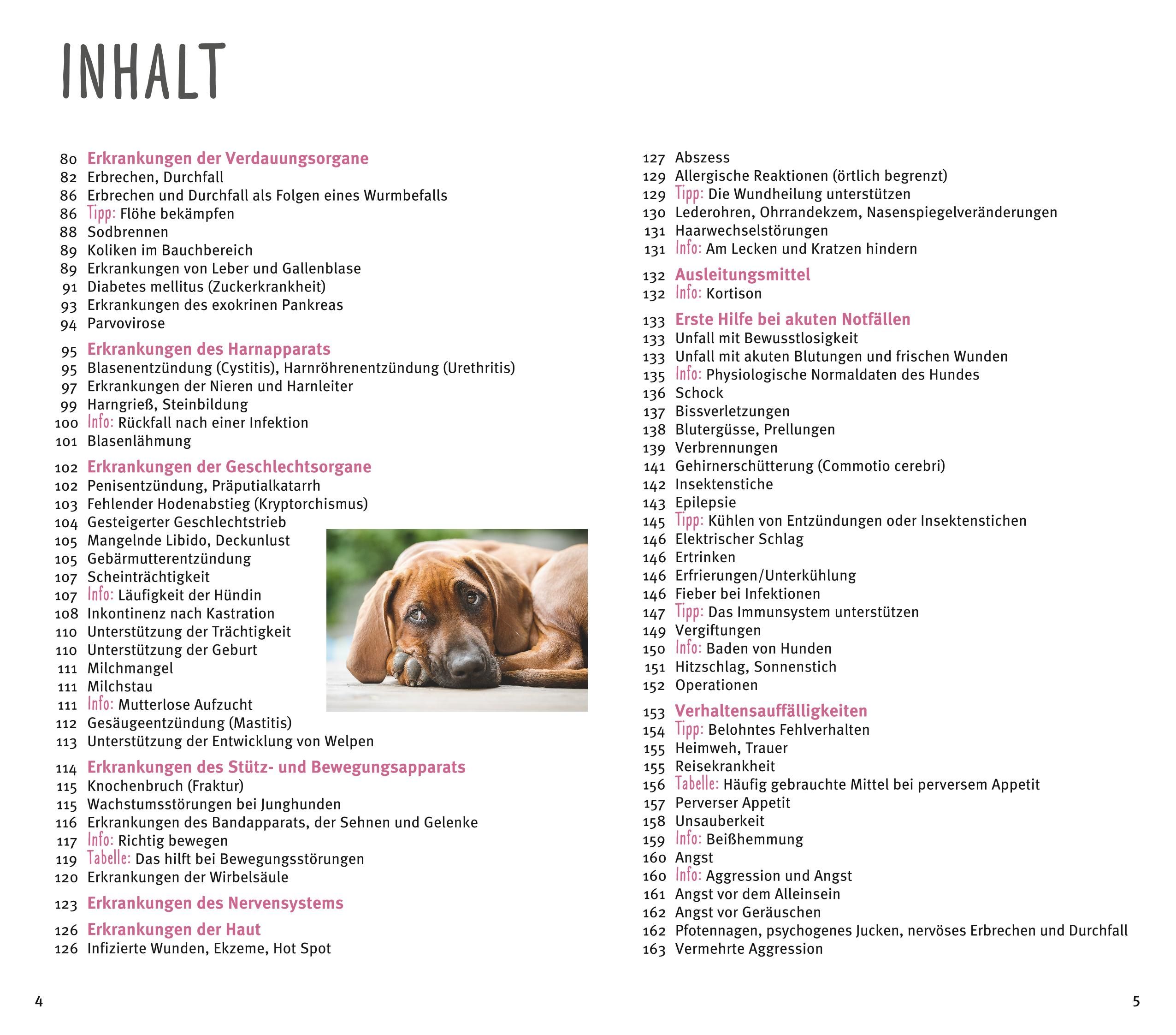 Abbildung 2 von Homöopathie für Hunde