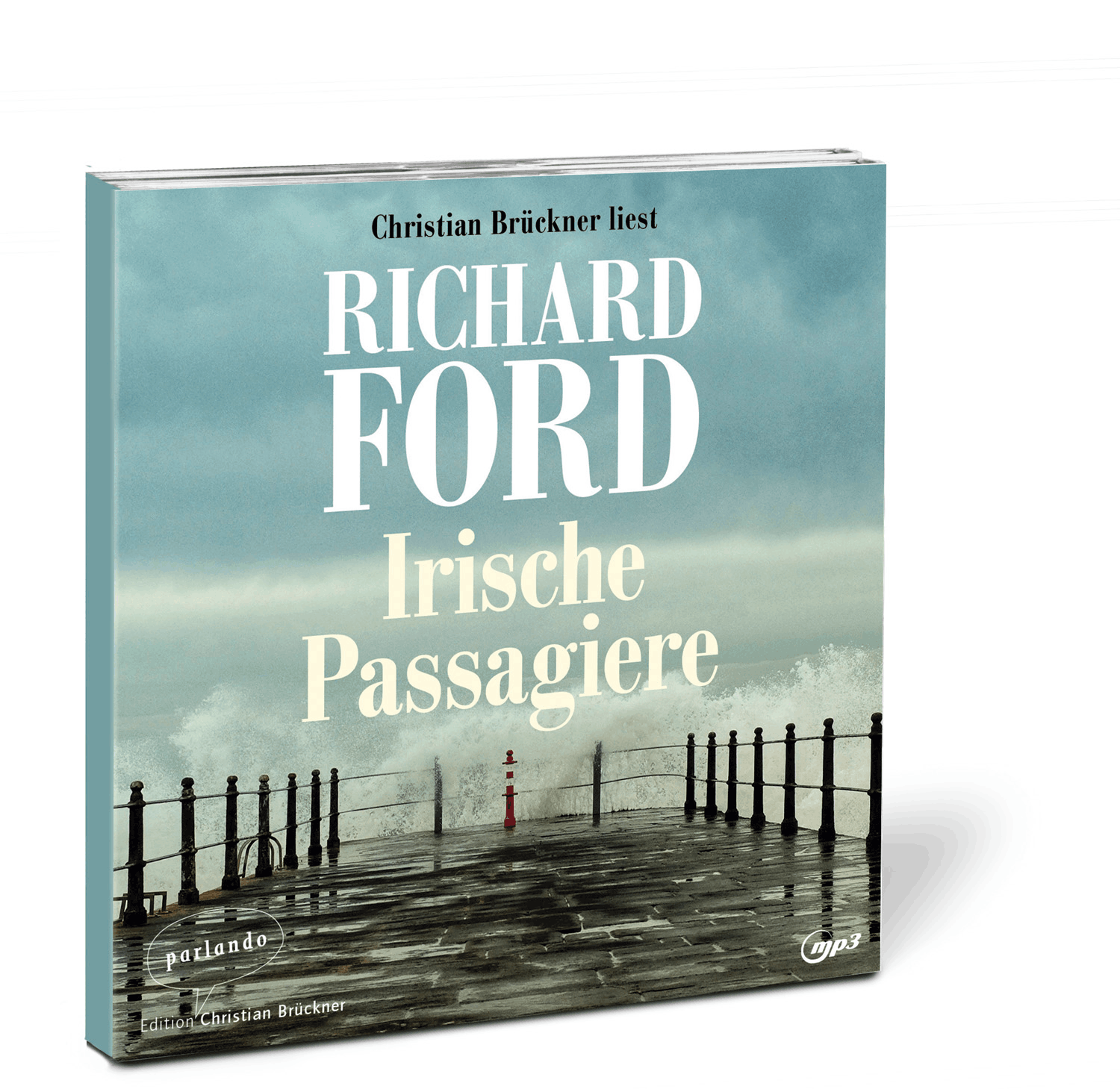 Abbildung 1 von Irische Passagiere