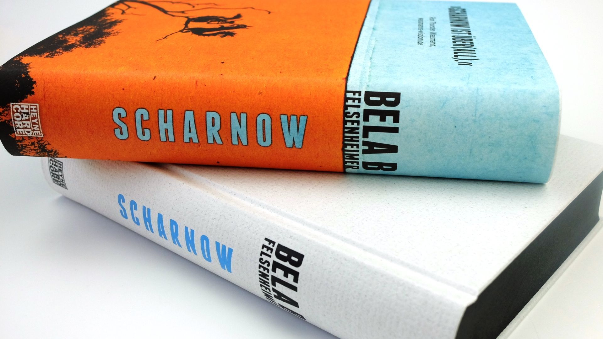 Abbildung 2 von Scharnow