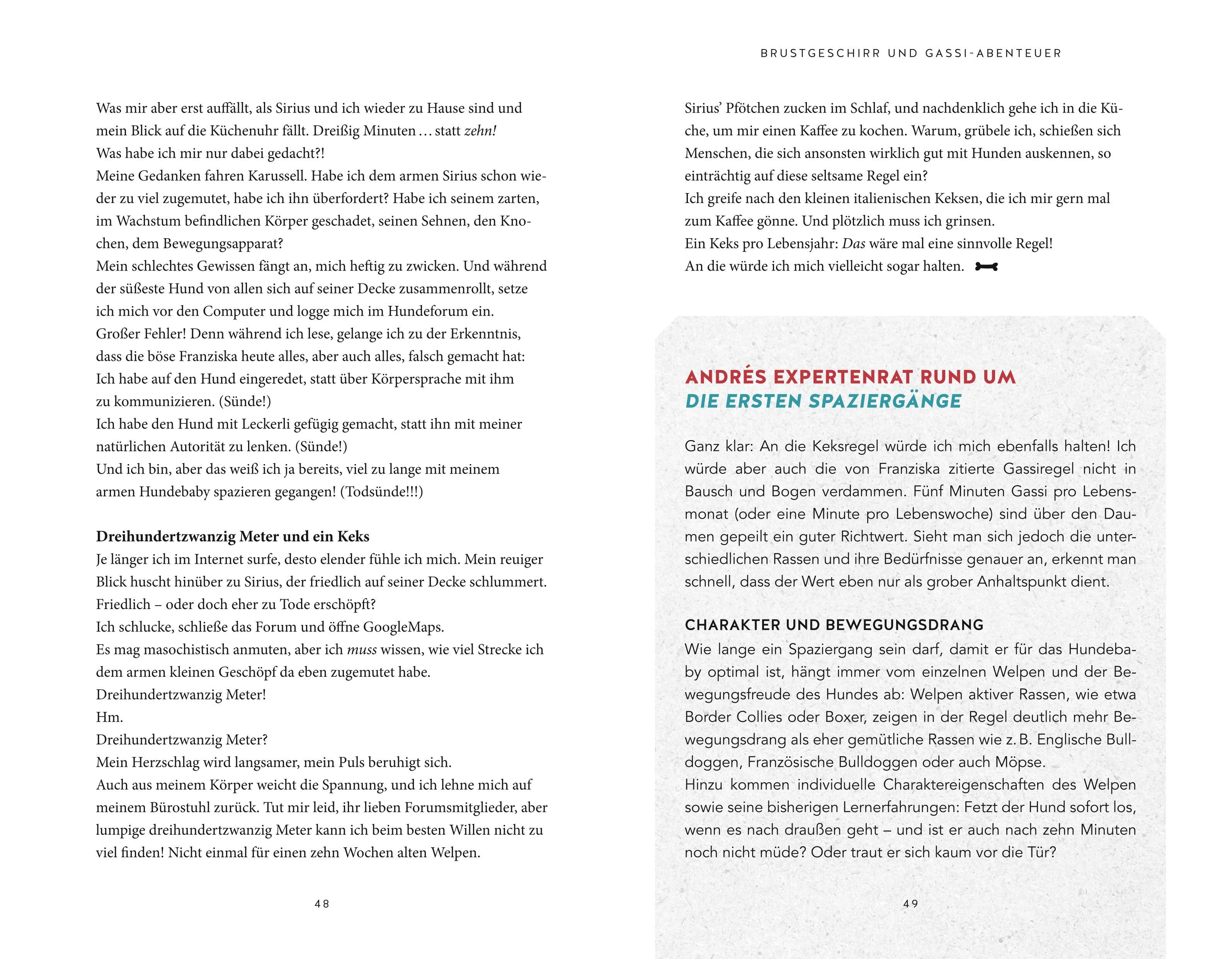 Abbildung 7 von Die Kunst, einen Welpen zu bändigen