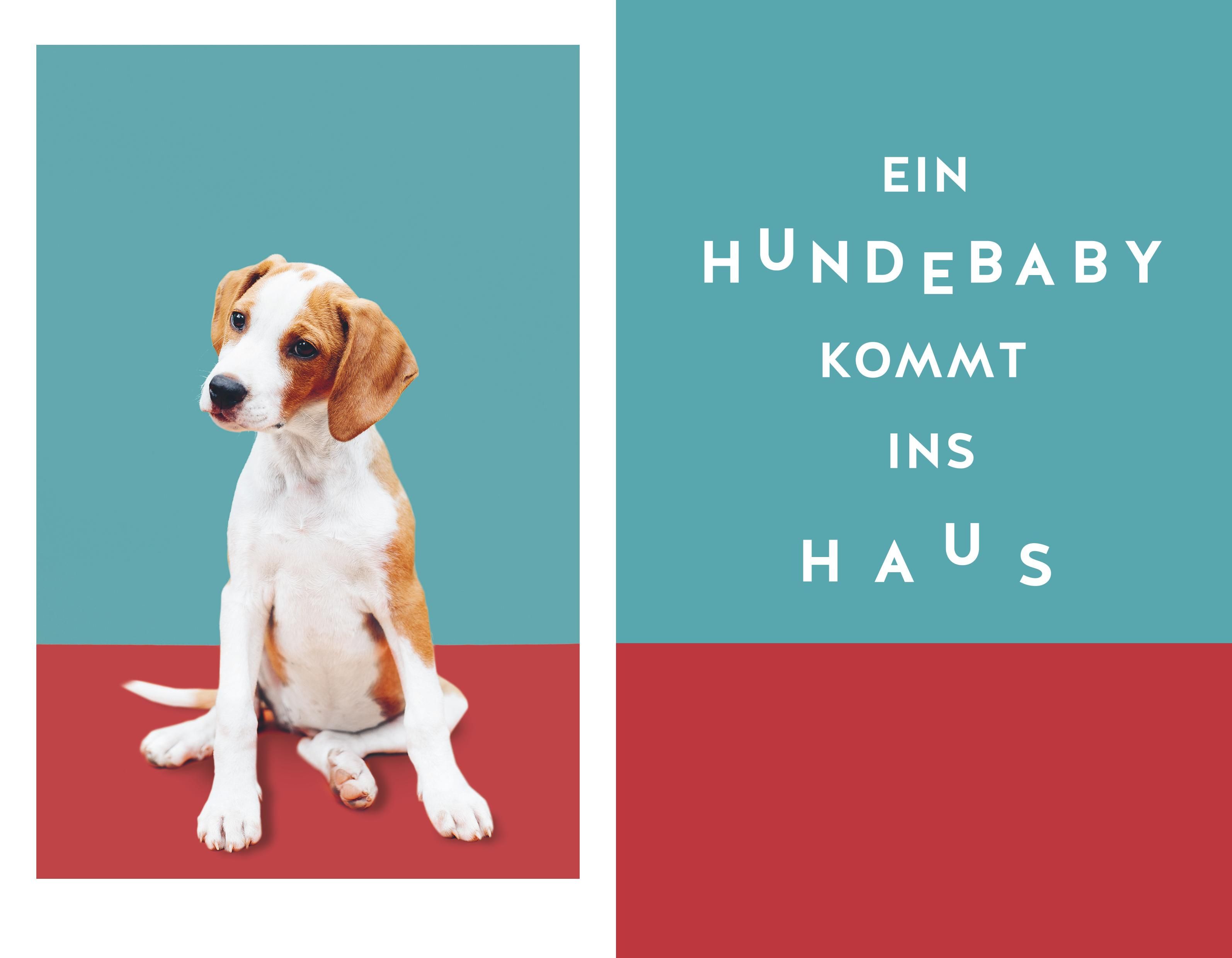 Abbildung 5 von Die Kunst, einen Welpen zu bändigen