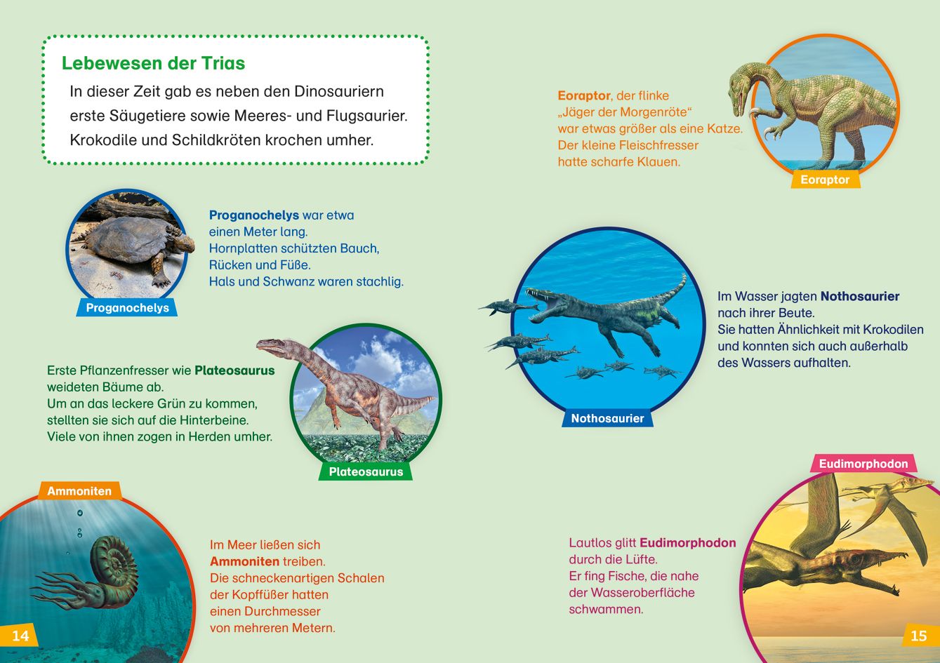 Abbildung 1 von WAS IST WAS Erstes Lesen Band 13. Dinosaurier