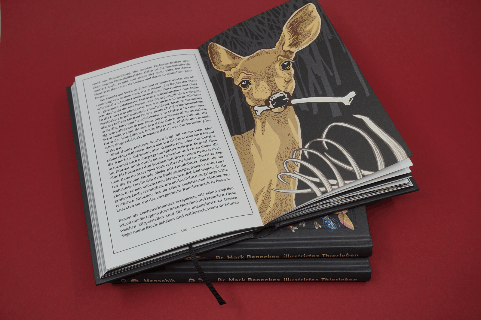 Abbildung 4 von Kat Menschiks und des Diplom-Biologen Doctor Rerum Medicinalium Mark Beneckes Illustrirtes Thierleben