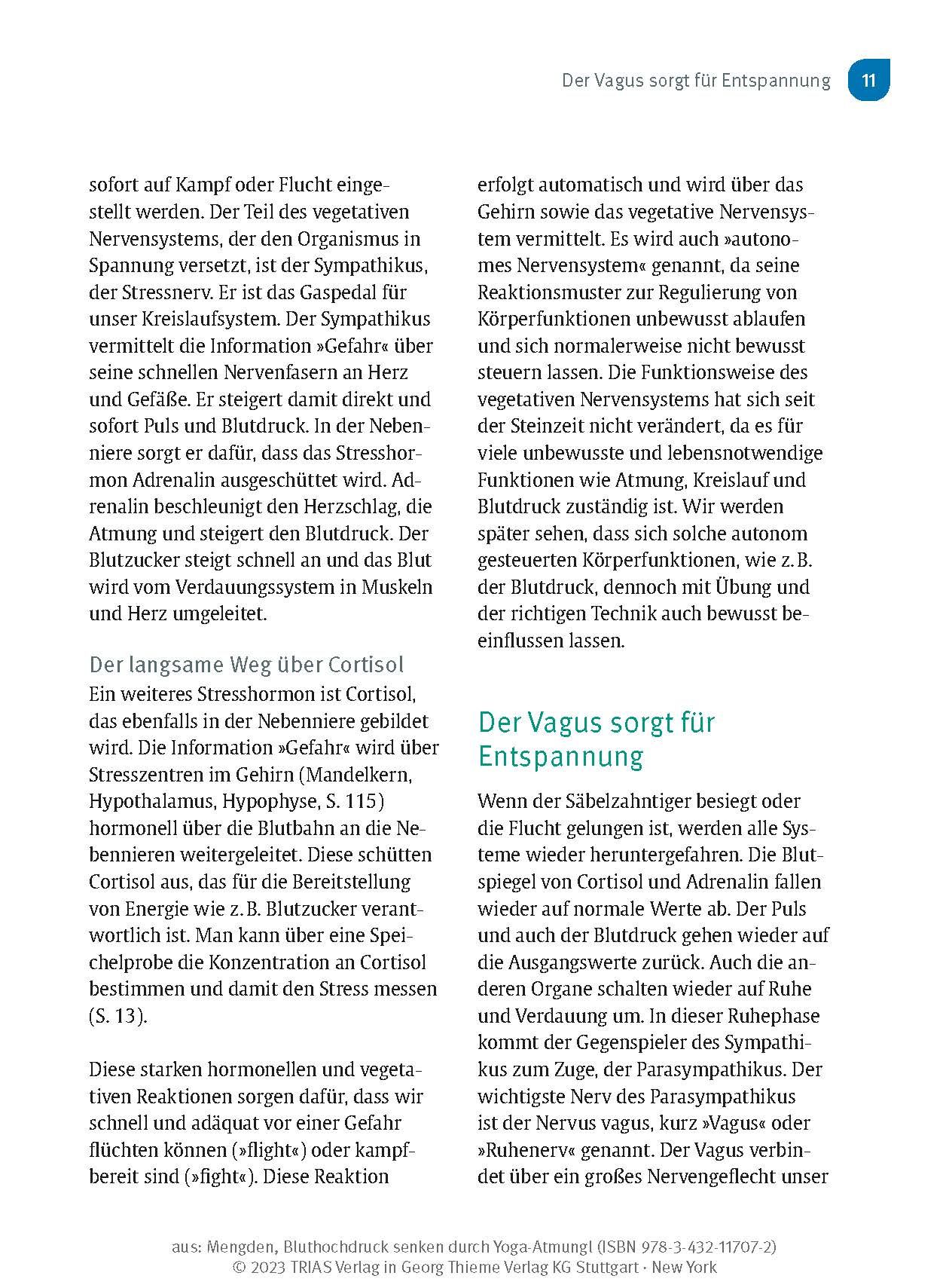 Abbildung 5 von Bluthochdruck senken durch Yoga-Atmung