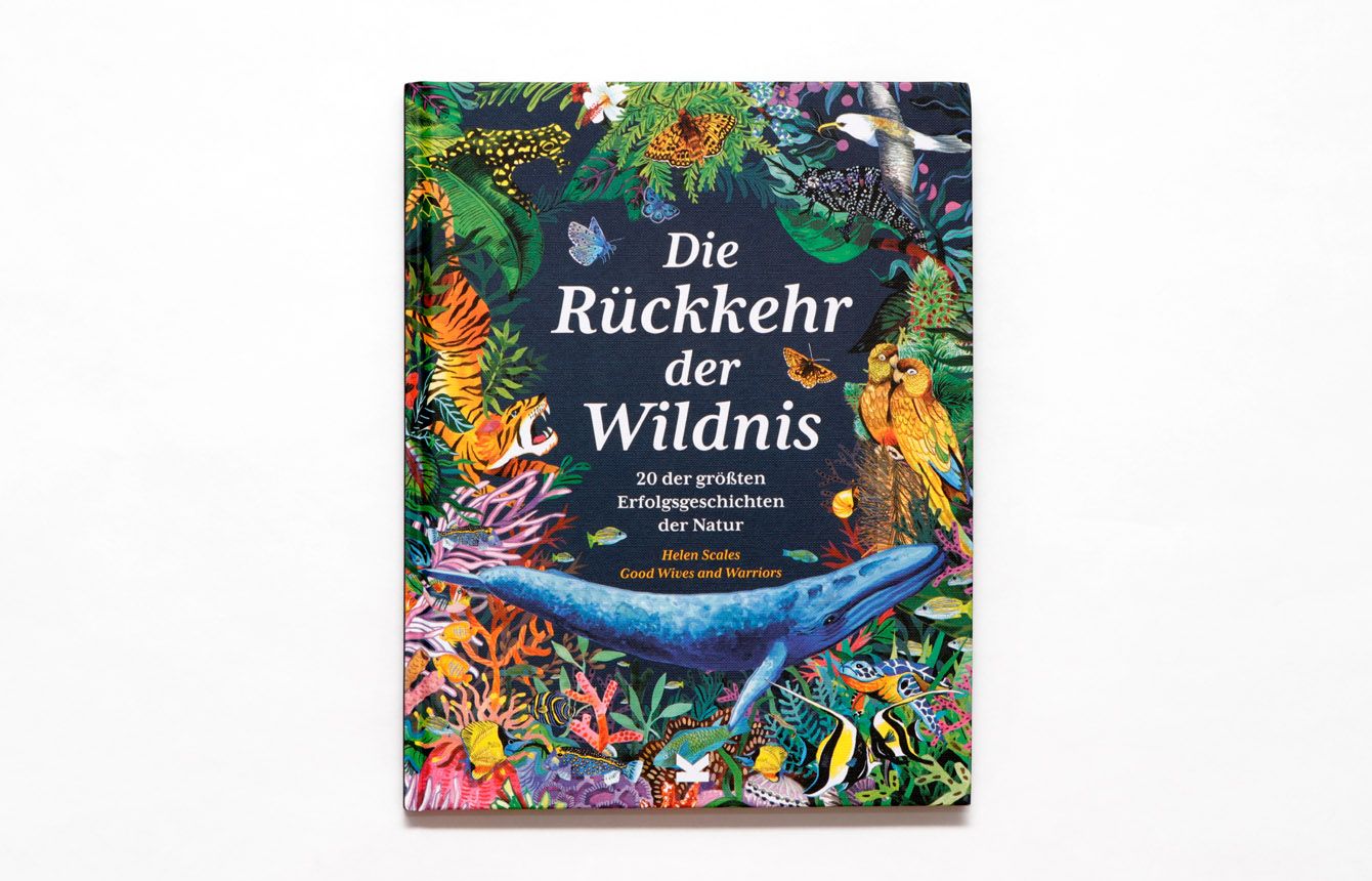 Abbildung 1 von Die Rückkehr der Wildnis