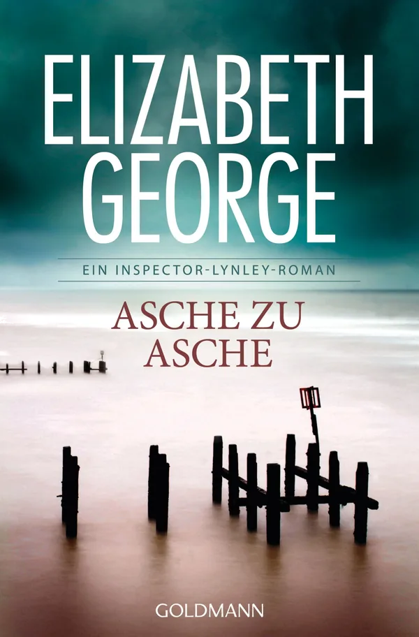 Cover von Asche zu Asche