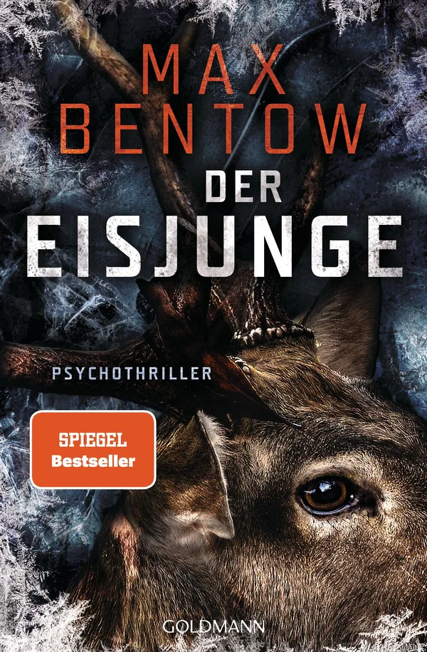 Cover von Der Eisjunge