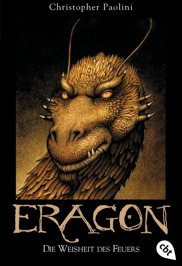 Cover von Die Weisheit des Feuers