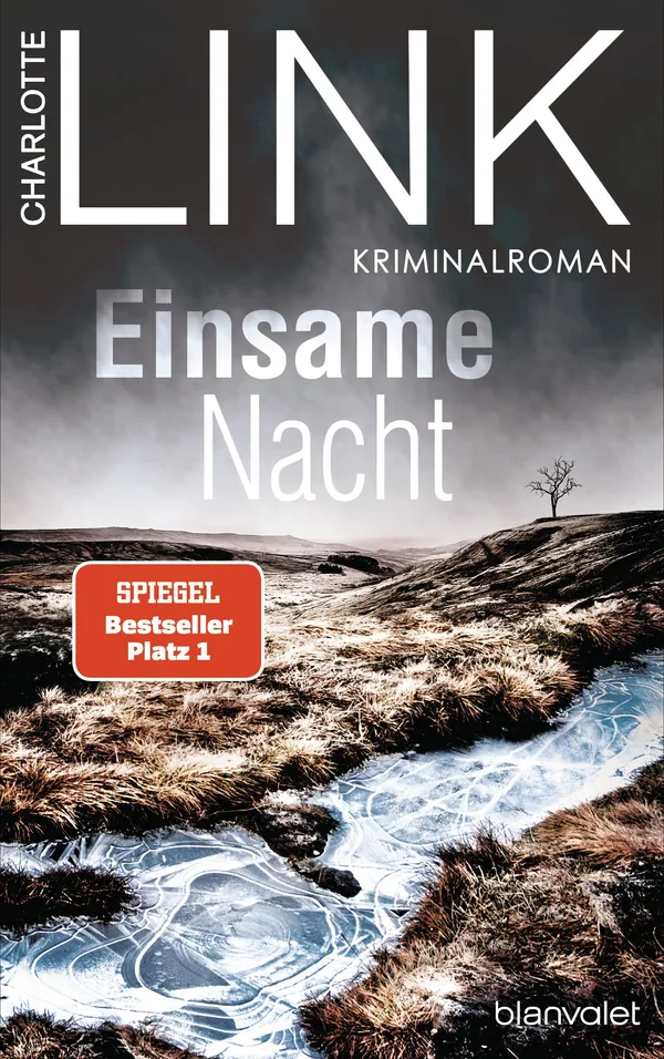 Cover von Einsame Nacht