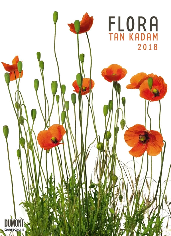 Cover von Flora 2018 – Blumen-Kalender von DUMONT– Poster-Format 49,5 x 68,5 cm