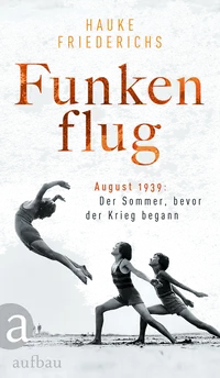 Cover von Funkenflug