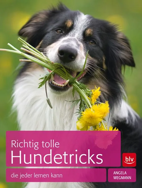 Cover von Richtig tolle Hundetricks
