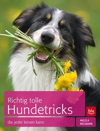 Cover von Richtig tolle Hundetricks