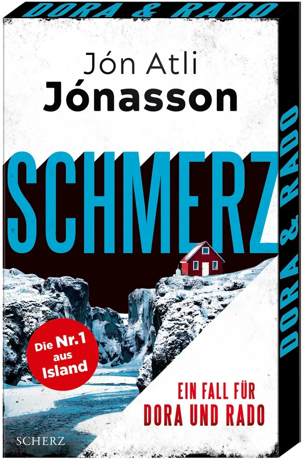Cover von Schmerz