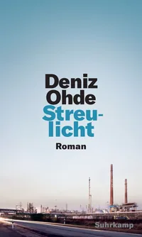 Cover von Streulicht