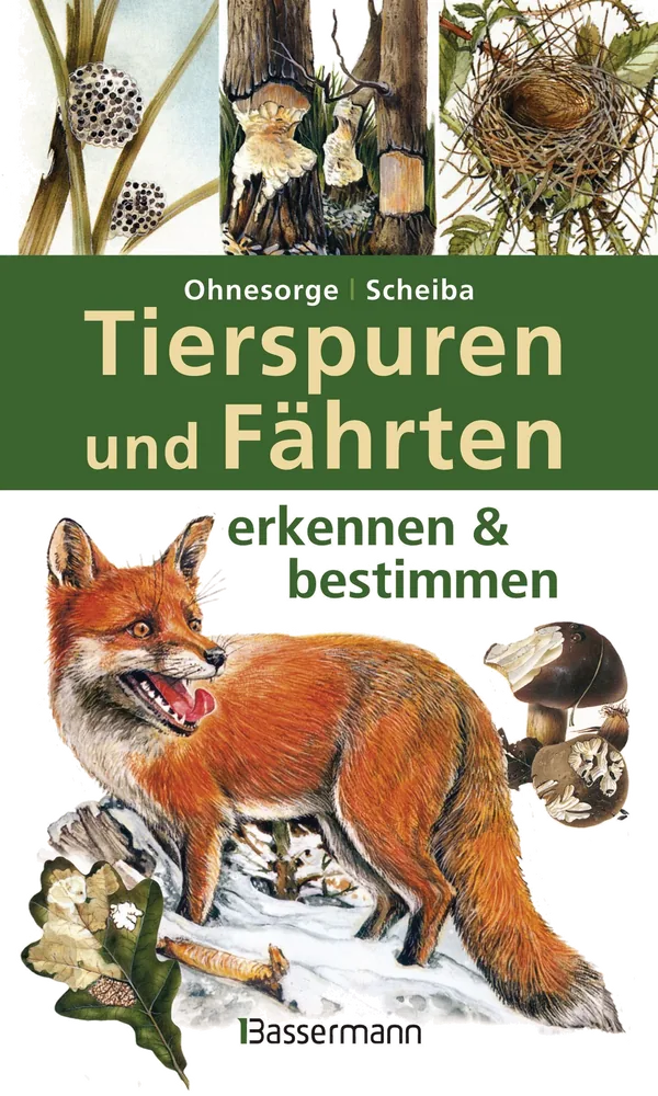 Cover von Tierspuren und Fährten erkennen & bestimmen