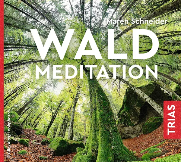 Cover von Waldmeditation