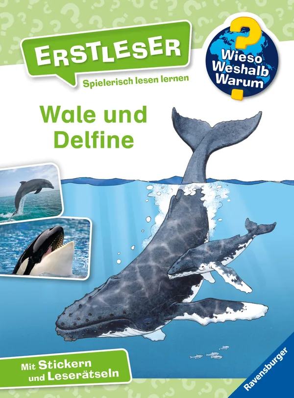 Cover von Wieso? Weshalb? Warum? Erstleser, Band 3 – Wale und Delfine