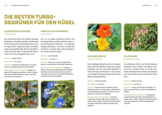 Abbildung 4 von Begrünen was geht