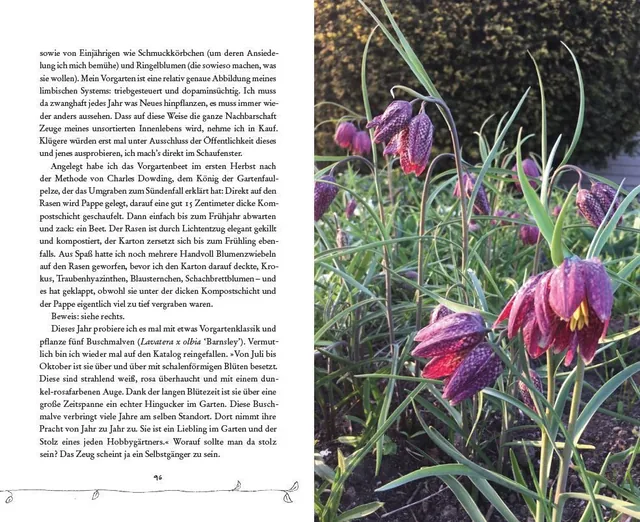 Abbildung 3 von Bin im Garten
