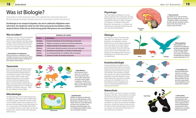 Abbildung 3 von Biologie, Chemie, Physik für Eltern