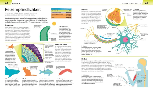 Abbildung 4 von Biologie, Chemie, Physik für Eltern
