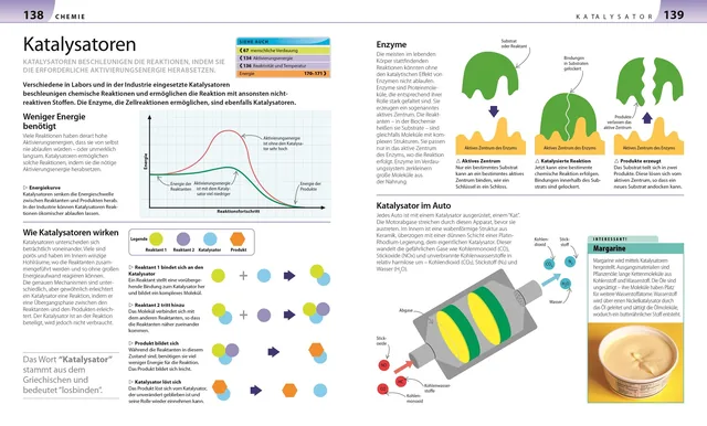 Abbildung 6 von Biologie, Chemie, Physik für Eltern