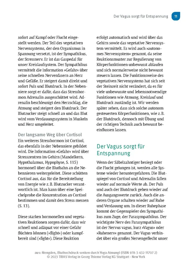 Abbildung 5 von Bluthochdruck senken durch Yoga-Atmung