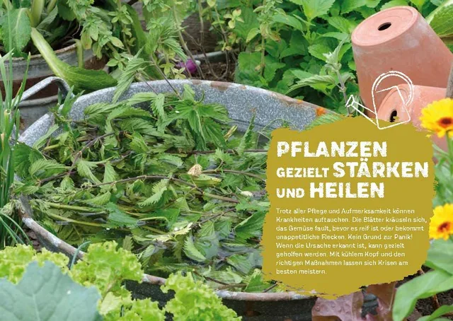 Abbildung 4 von Boden & Pflanzen natürlich stärken