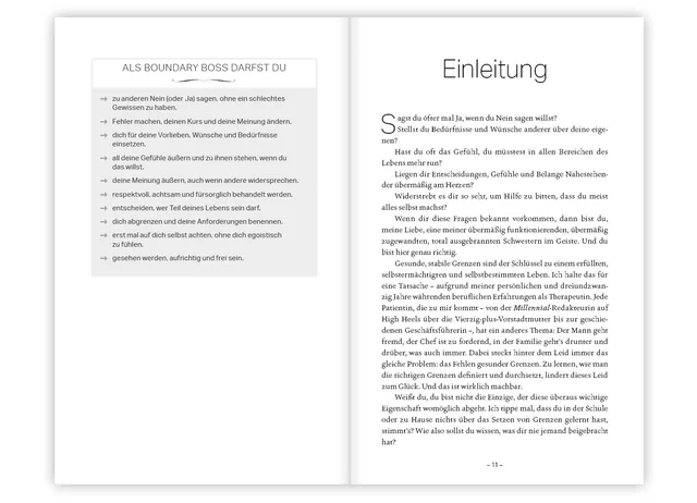 Abbildung 3 von Boundary Boss