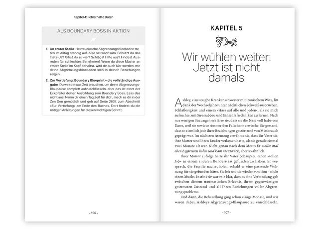 Abbildung 4 von Boundary Boss