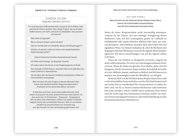 Abbildung 5 von Boundary Boss