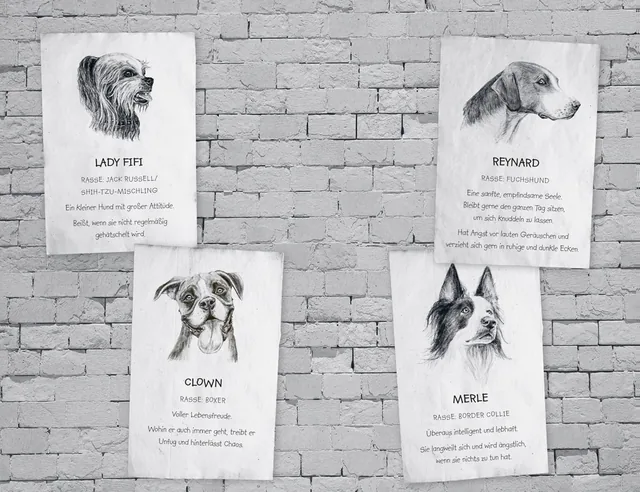 Abbildung 2 von Buddy – Mein Leben als Straßenhund
