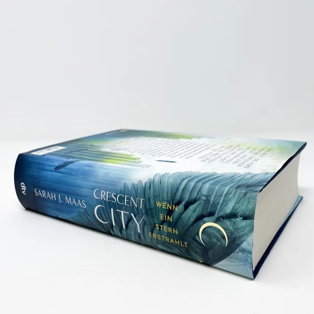Abbildung 3 von Crescent City – Wenn ein Stern erstrahlt