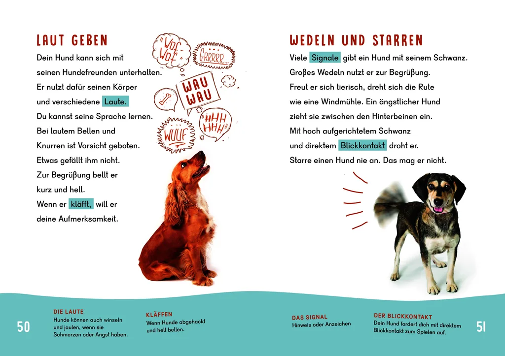 Abbildung 1 von Dein Lesestart - Hunde