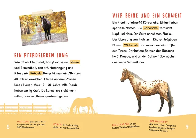Abbildung 1 von Dein Lesestart - Pferde und Ponys