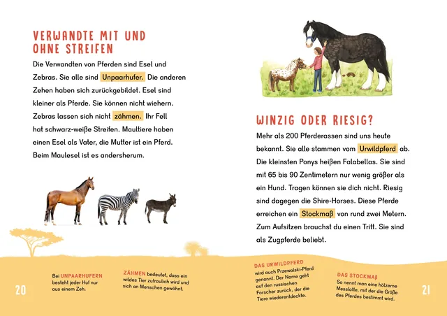 Abbildung 3 von Dein Lesestart - Pferde und Ponys