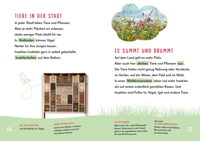 Abbildung 2 von Dein Lesestart - Umwelt