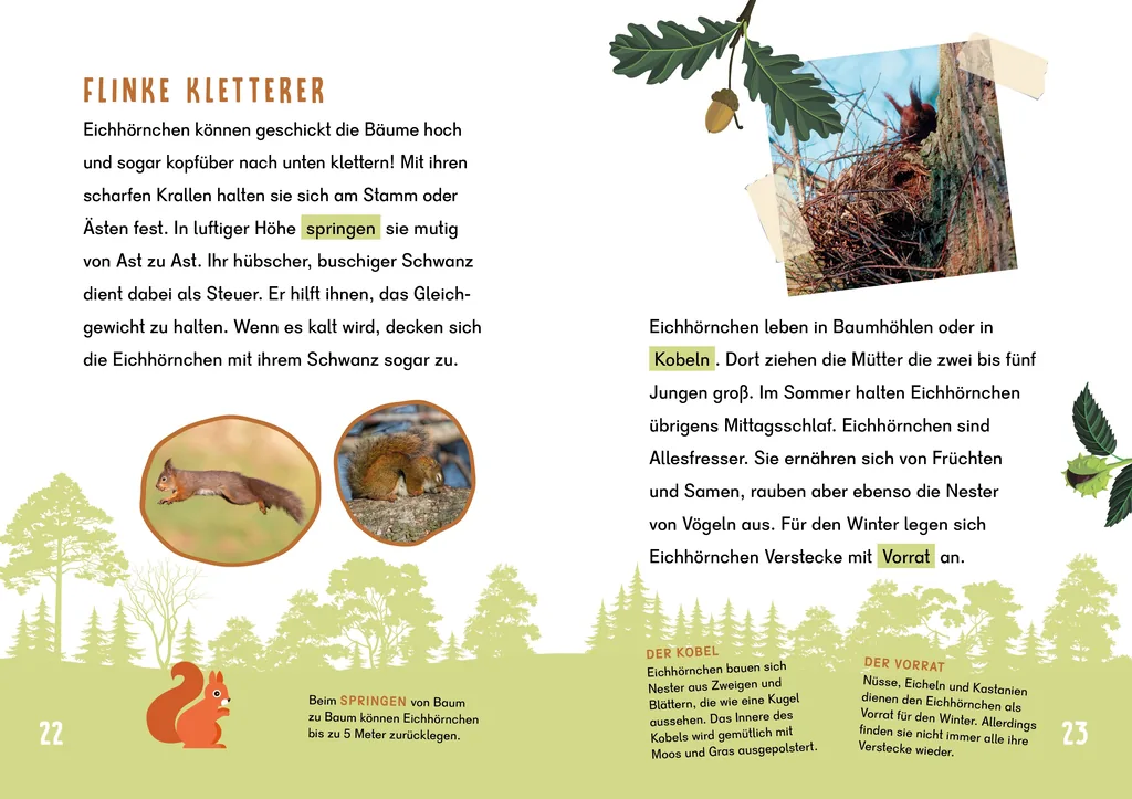 Abbildung 1 von Dein Lesestart - Wald